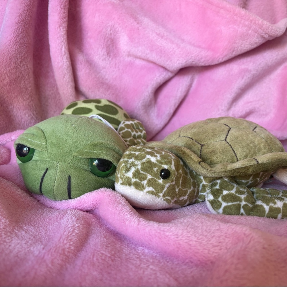 Sea turtle plush ( Douglas) - Picture 1 of 3